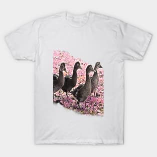 Young Ducks T-Shirt